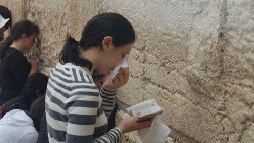 专业吃瓜娱乐圈